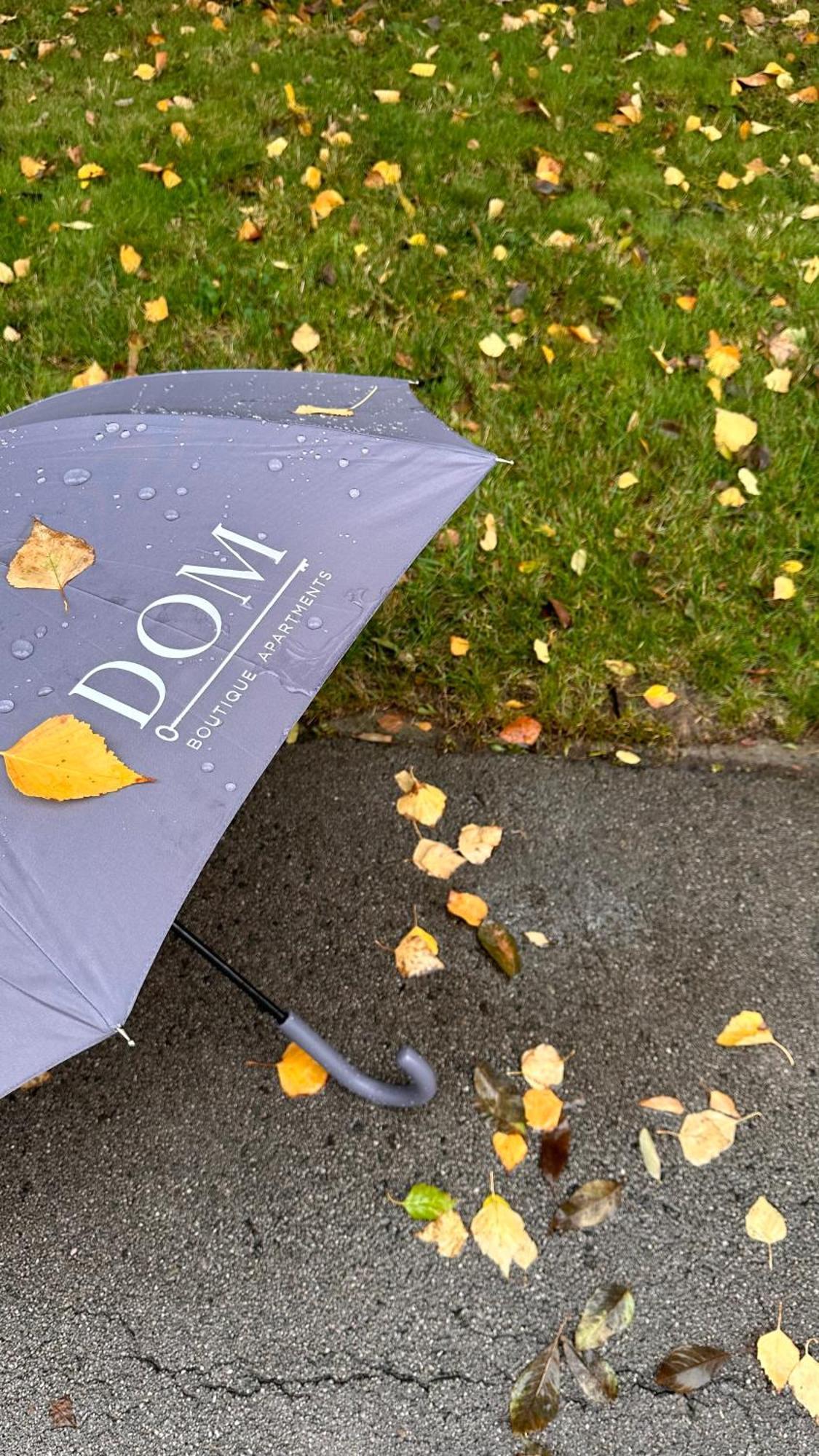 Dom Boutique Apartments - Park View ベオグラード エクステリア 写真