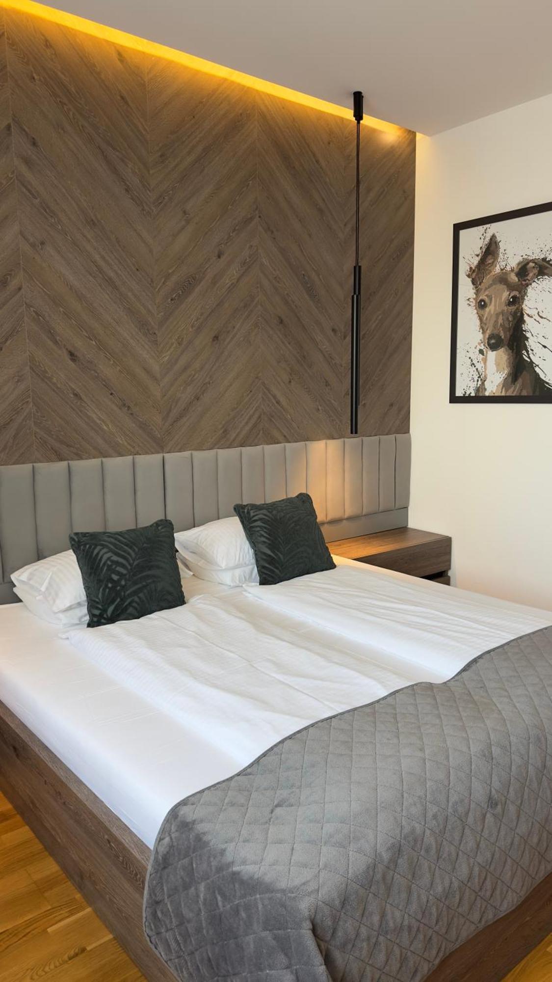 Dom Boutique Apartments - Park View ベオグラード エクステリア 写真